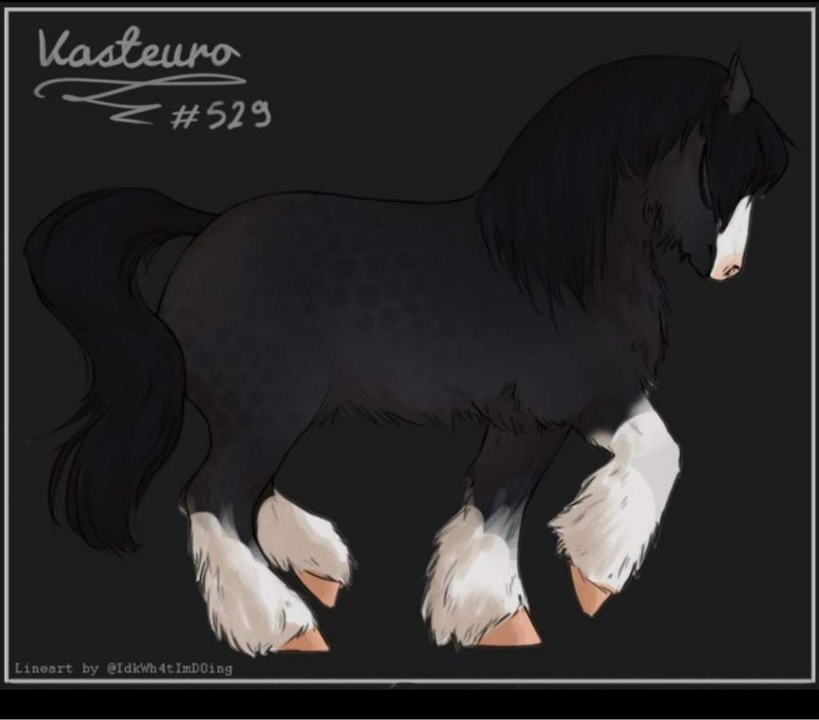Vasteuro #529