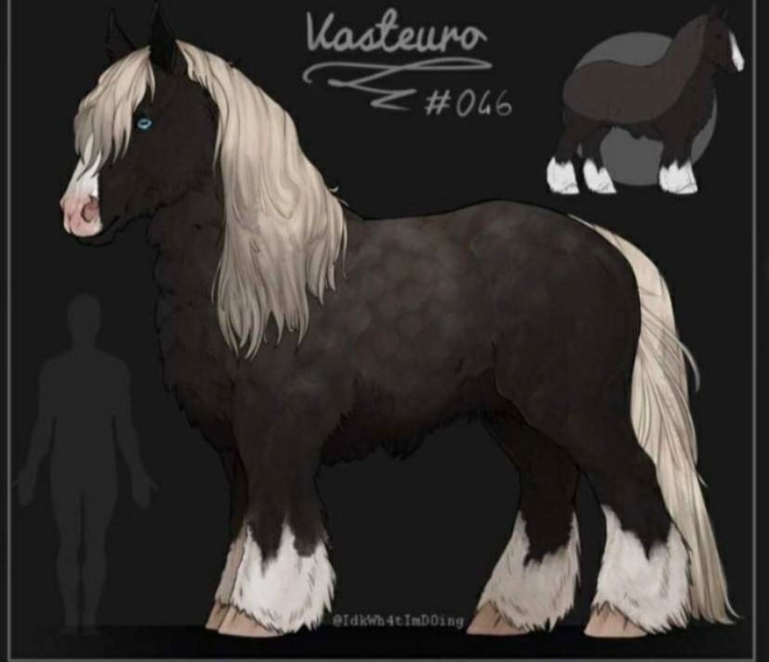 Vasteuro #46