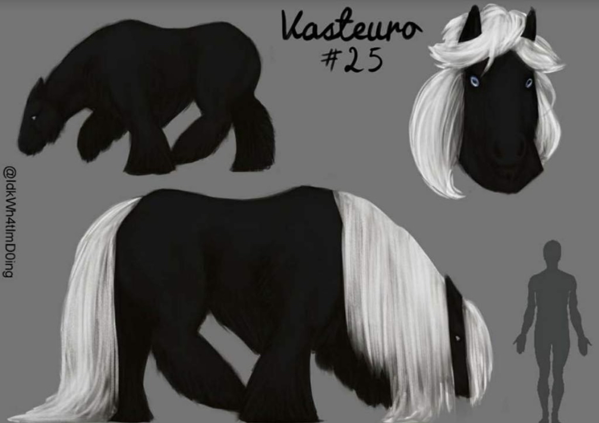 Vasteuro #25
