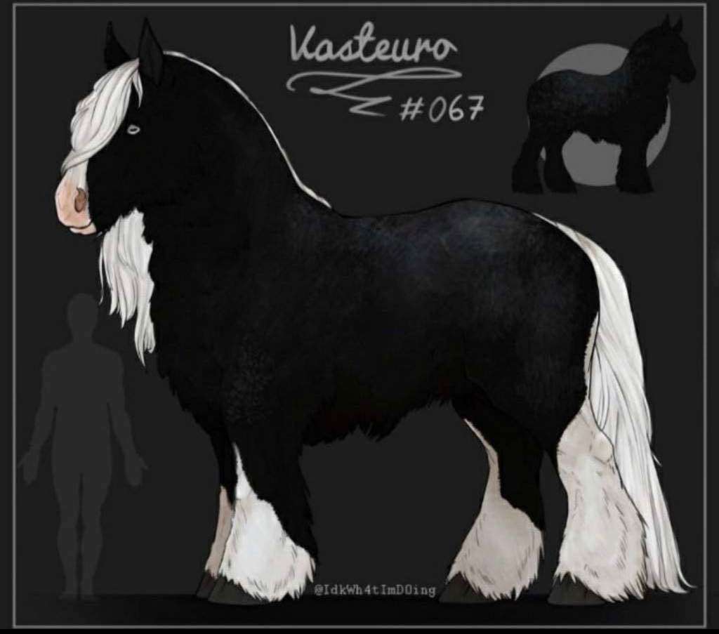 Vasteuro #67