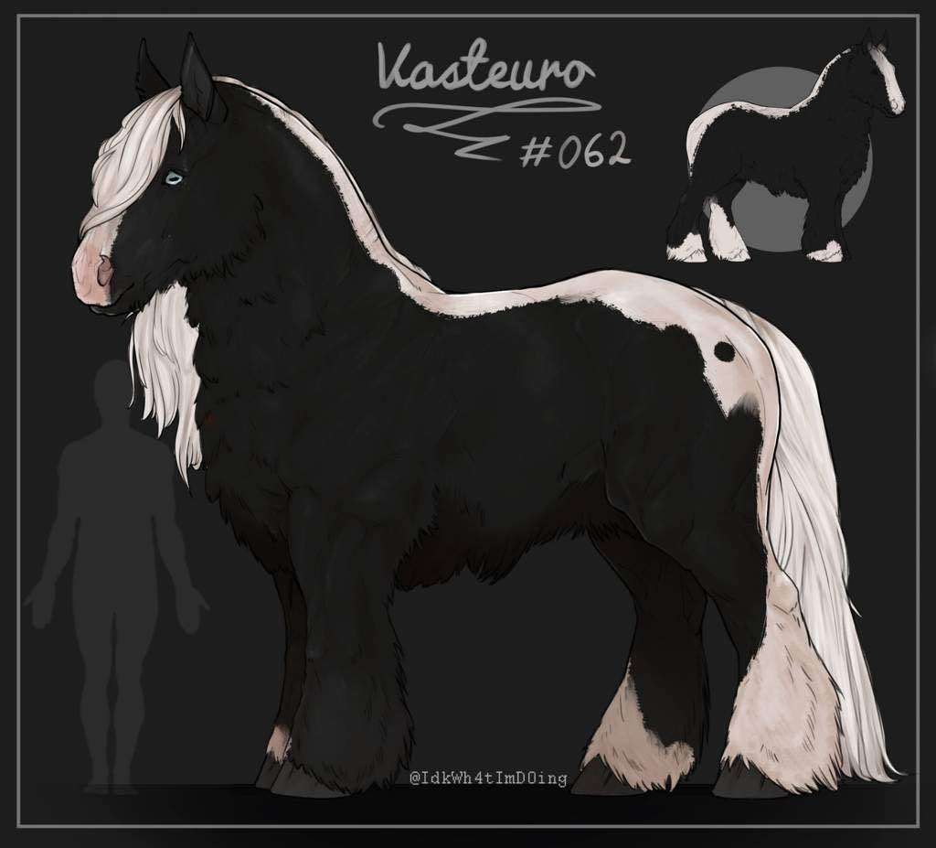 Vasteuro #62