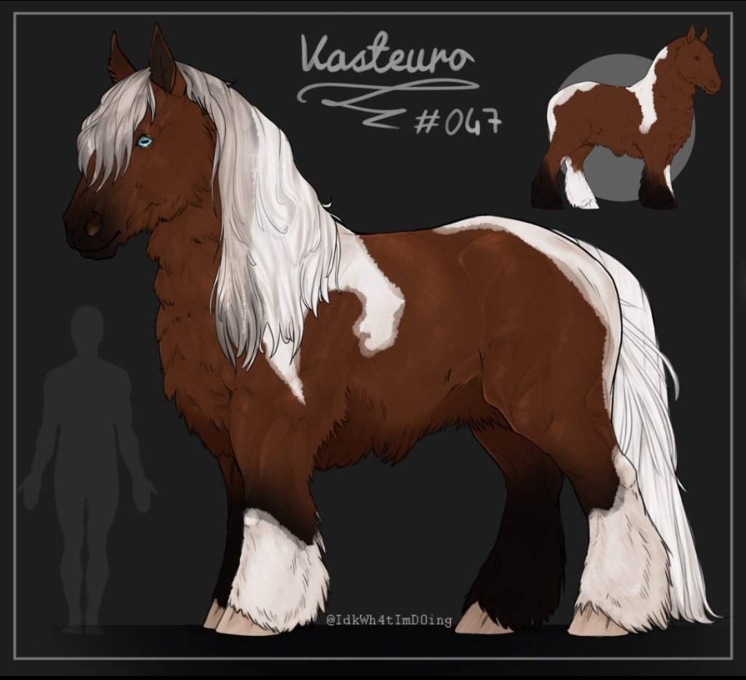 Vasteuro #47