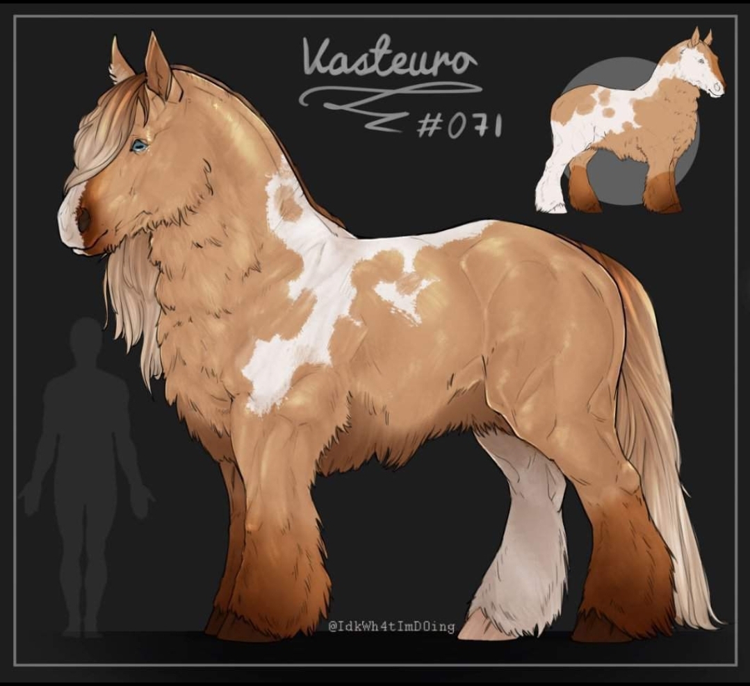 Vasteuro #71