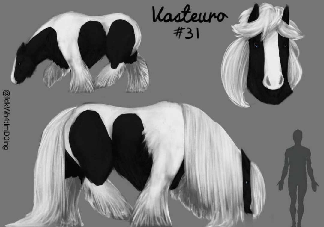 Vasteuro #31