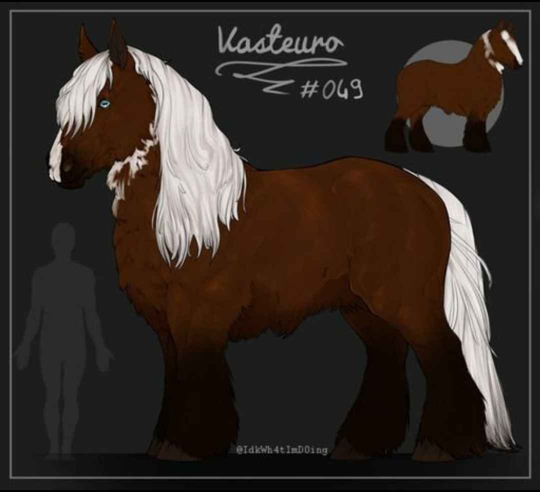 Vasteuro #49