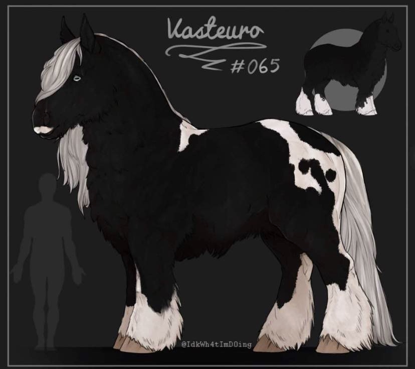 Vasteuro #65