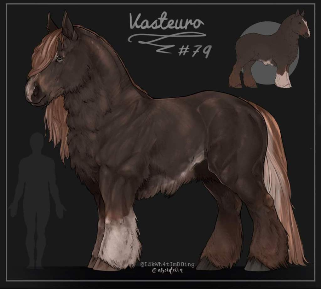 Vasteuro #79