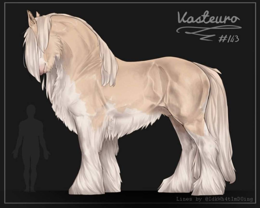Vasteuro #143