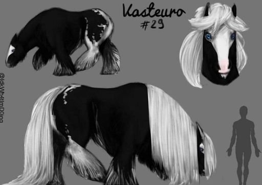 Vasteuro #29